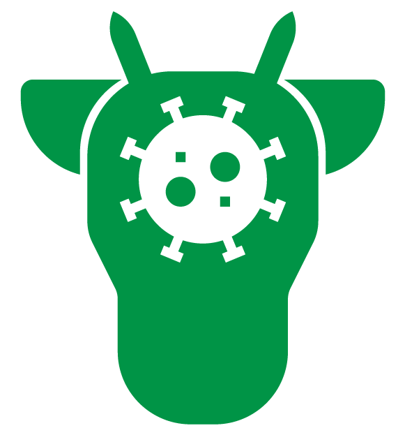 icono de estrellas